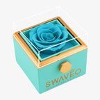 Rotating Forever Rose Box - W/ Promise Ring